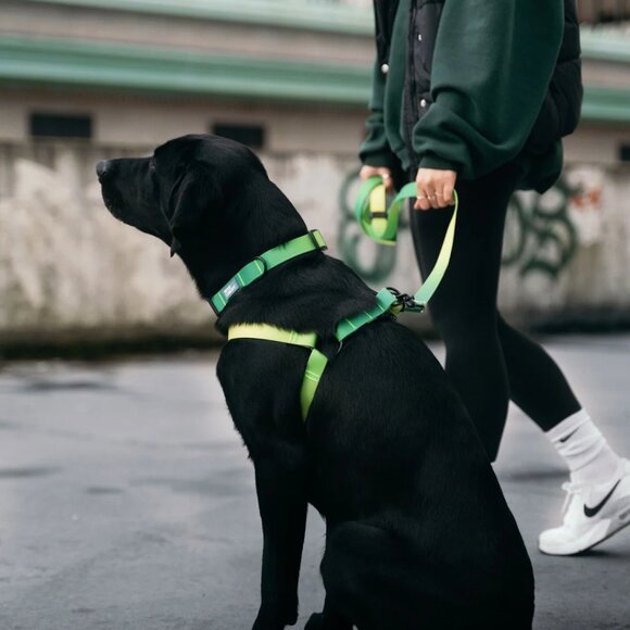 Waterproof Step-In Dog Harness Size M in Green Ombre by "Woof Concept" - Picture 3 of 7